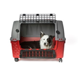 Bama Transporter Tekerlekli Köpek Taşıma Kutusu